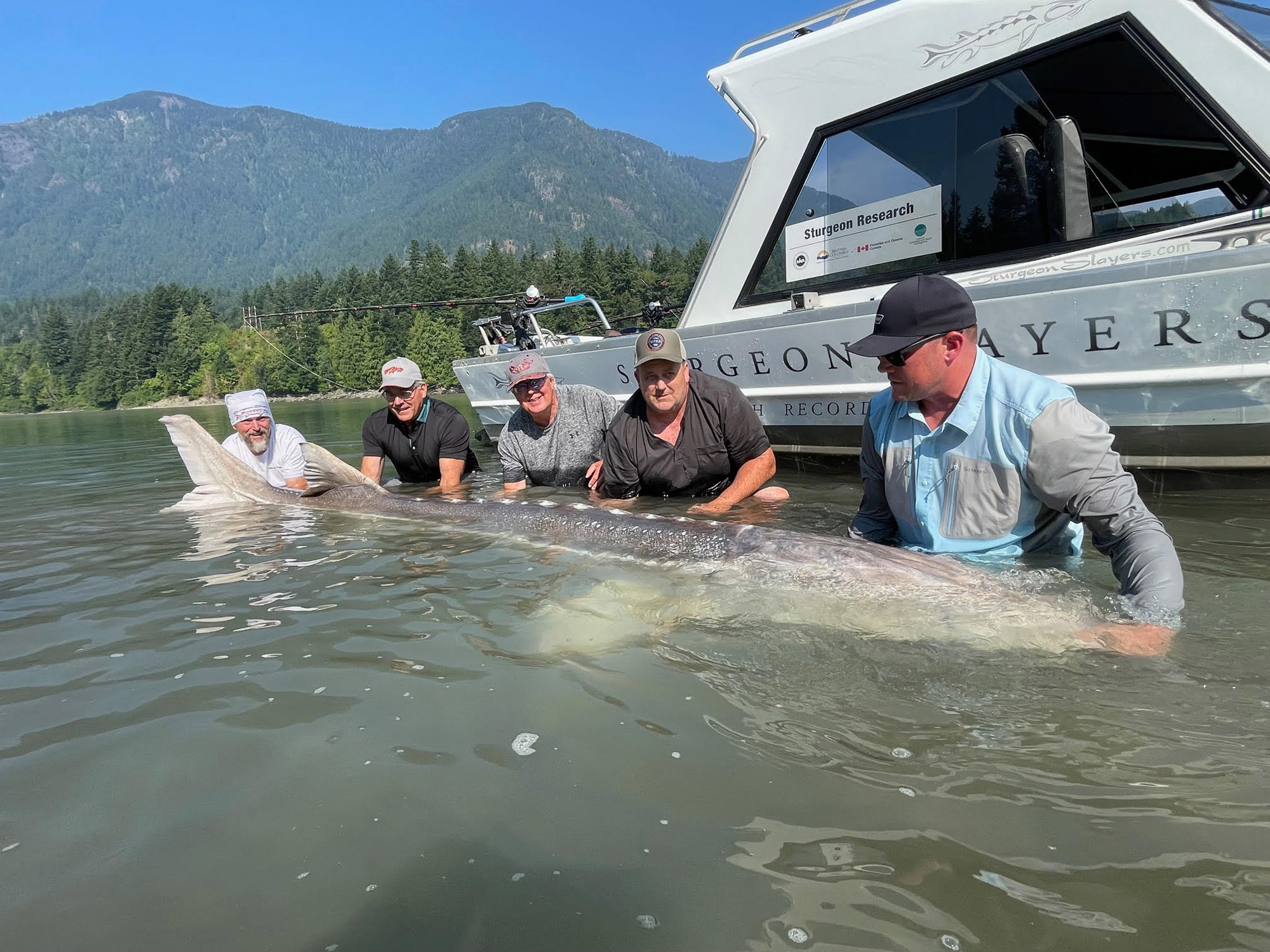 Casting Into Adventure: Freshwater Giants Call Your Name