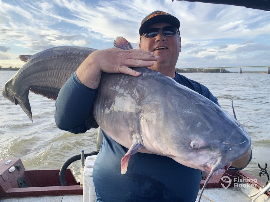 Join me, Tallulah James, as we dive into the thrilling pursuit of Blue Catfish. Discover what it takes to handle these powerful fighters with the right gear and techniques. From heavy-action rods to strong drag systems, prepare yourself for an unforgettable catfishing adventure.