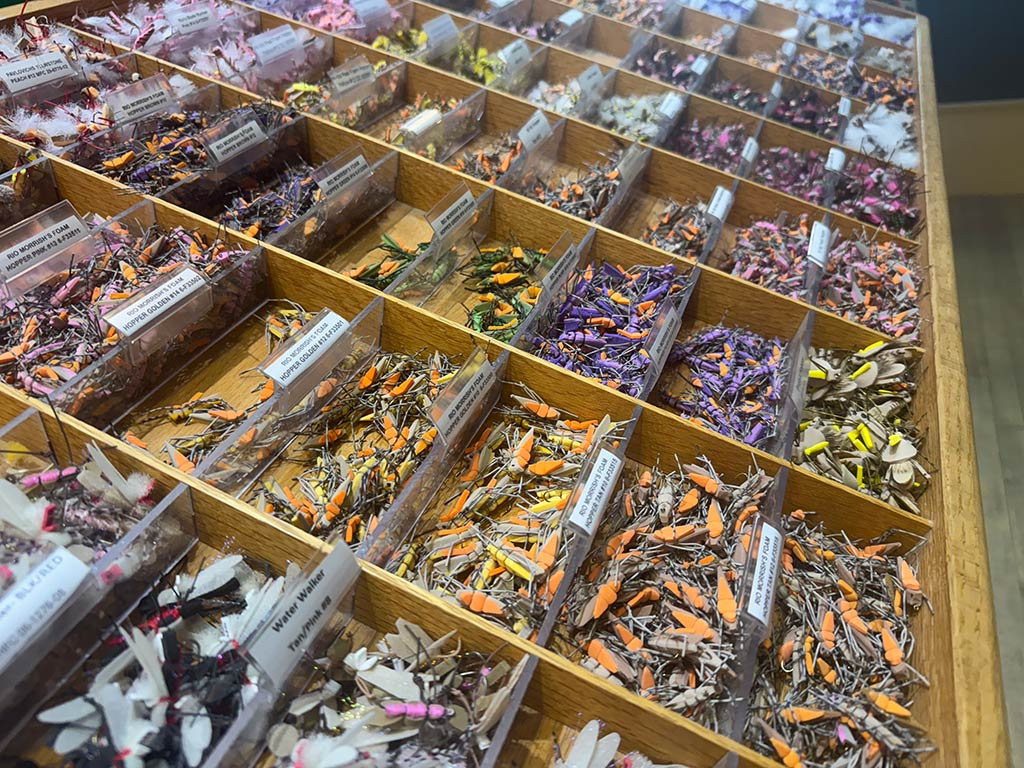 Explore the thrilling world of Wyoming's bug blitz and discover the essential dry fly patterns every female angler should have in her tackle box for a successful fishing adventure.