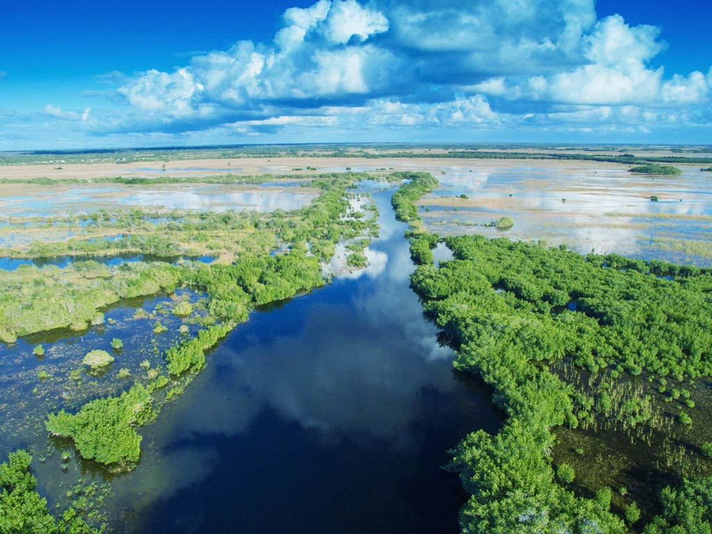 Explore how the natural rhythms of the Everglades, including tides and moon phases, enhance the fishing experience and connect anglers deeply with nature.