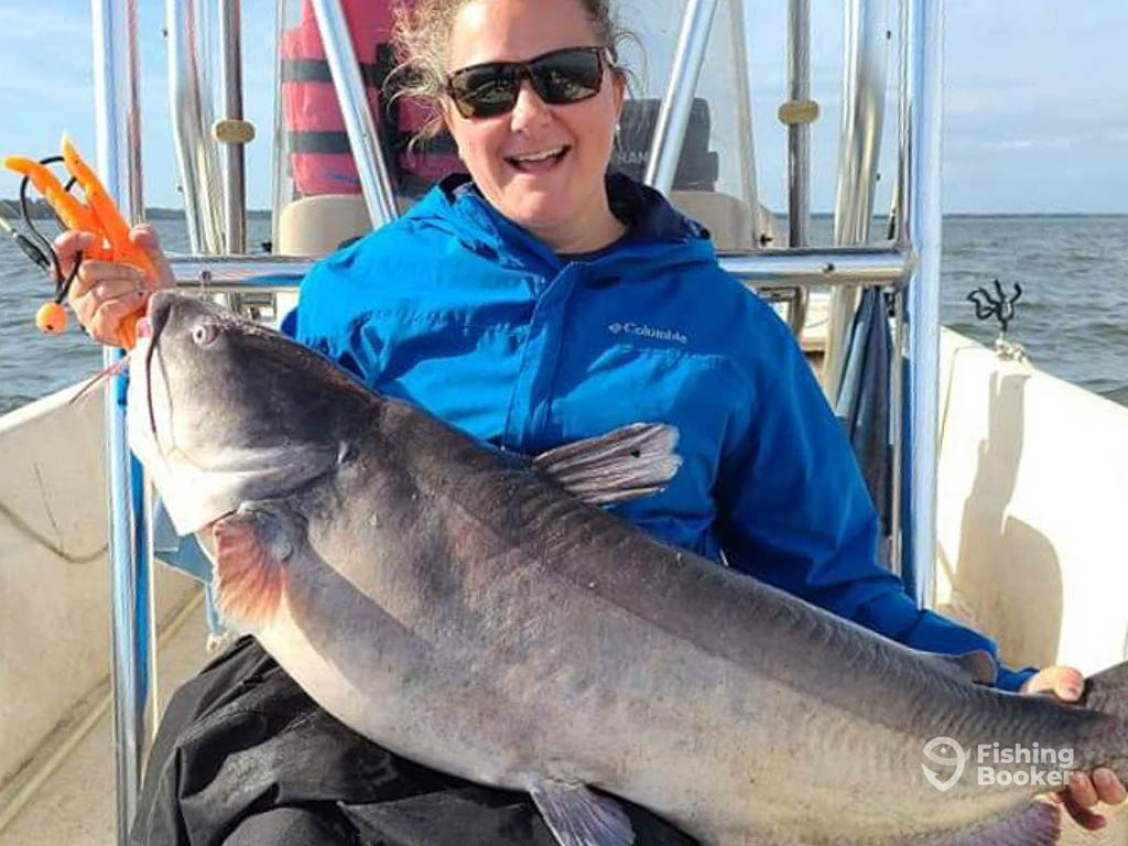 Discover the vibrant diversity of catfish species around the world, each offering unique challenges and opportunities for anglers. From Flatheads to Mekong giants, this guide highlights the excitement and adventure awaiting on your next fishing trip.