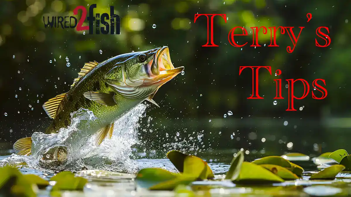 Explore how persistence, precision, and intuition are the secret tools of successful anglers, even in challenging summer conditions. Learn to embrace the nuances of fishing—finding untouched spots, perfecting your casting, and matching the hatch for a rewarding summer experience.