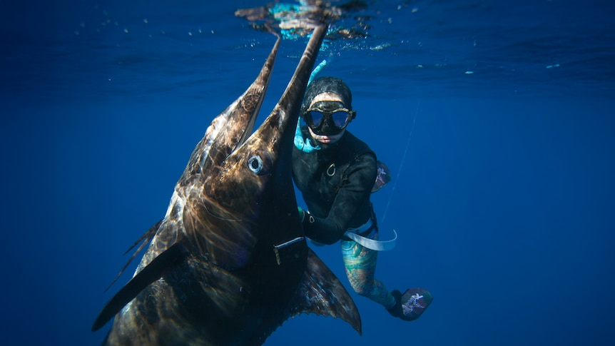 Discover the inspiring story of Nikki Watt, a fearless spearfisher who overcame personal adversity to achieve a remarkable world first: the 'super slam' in spearfishing.
