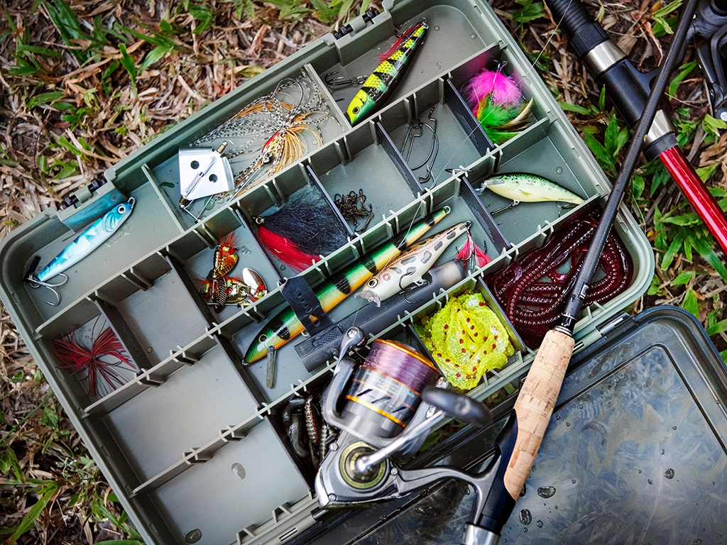 Explore the rewarding experience of multi-species fishing in Minocqua, Wisconsin. This piece delves into diverse techniques and clear waters, empowering women anglers to confidently catch a variety of fish.
